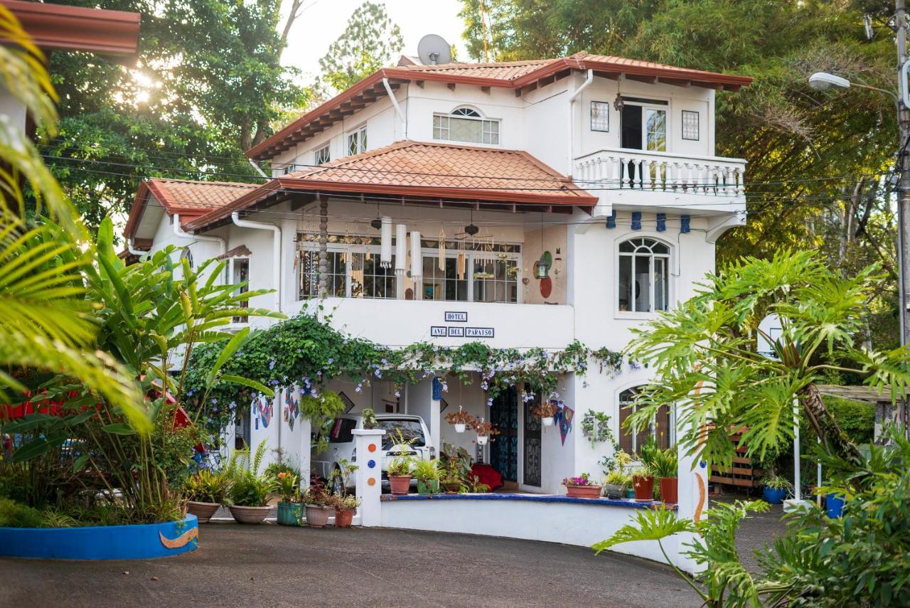 Hotel Ave Del Paraiso San José Exterior foto